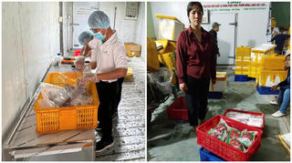 TP Hồ Chí Minh: Triệt phá đường dây làm giả thịt đà điểu, dê, nhím từ thịt heo, thu lợi hàng tỷ đồng 