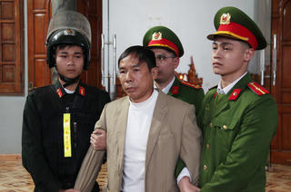 Bắt 3 đối tượng nhổ phá hơn 1.300 cây keo của doanh nghiệp