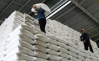 Xuất cấp hơn 920 tấn gạo dự trữ quốc gia hỗ trợ nhân dân tỉnh Lạng Sơn, Tuyên Quang 