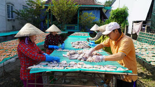 Làng cá khô Đồng Tháp vào vụ cao điểm phục vụ Tết Bính Ngọ