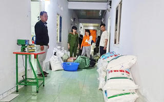 Gia Lai: Phát hiện cơ sở sản xuất bột ngọt, hạt nêm giả trong phòng trọ