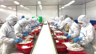 Xuất khẩu nông lâm thuỷ sản tăng trưởng mạnh