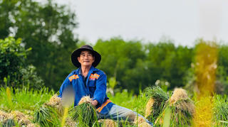 Kiệu được mùa, nông dân phấn khởi