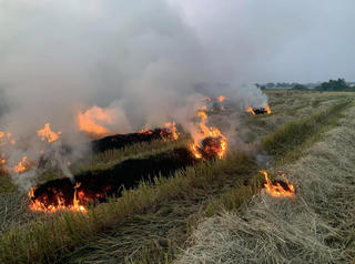 Để rơm rạ không còn là gánh nặng môi trường