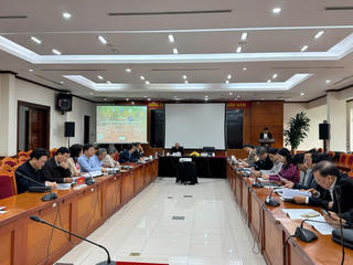 Tái cấu trúc chuỗi cung ứng ngành sắn theo hướng minh bạch