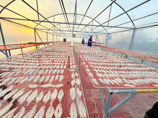 Làng nghề truyền thống rộn ràng đón Tết