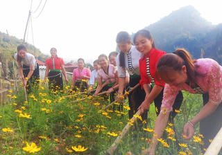 Chuyển biến tích cực từ nông thôn mới