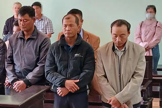 Gia Lai: Tổ trưởng bảo vệ rừng nhận hối lộ, lĩnh 4 năm 6 tháng tù