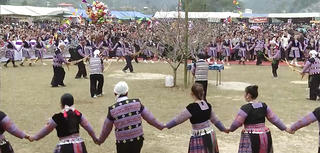 Gầu Tào nối vòng hữu linh