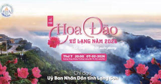 Nhiều hoạt động mừng Đảng, mừng Xuân tại Lễ hội hoa Đào xứ Lạng 2026