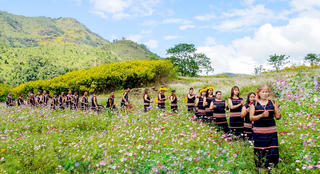 Năm Du lịch quốc gia - Gia Lai 2026: Chuỗi sự kiện quy mô lớn trải dài suốt bốn mùa