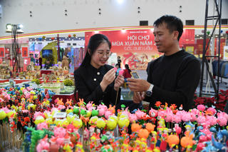 Sắc xuân ba miền hội tụ tại Thủ đô 