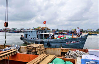 Quảng Ngãi: Tấp nập tàu chở hàng, hoa Tết ra đặc khu Lý Sơn