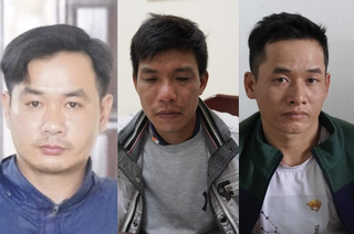 Gia Lai: Triệt phá đường dây trộm chó liên tỉnh, ước thu lợi bất chính 2,6 tỷ đồng