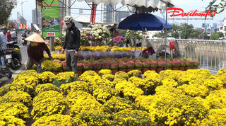 Nhộn nhịp chợ hoa "trên bến dưới thuyền" những ngày áp Tết
