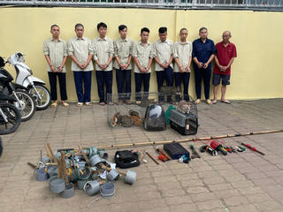 TP Hồ Chí Minh: Khởi tố 9 đối tượng có hành vi trộm cắp mèo 