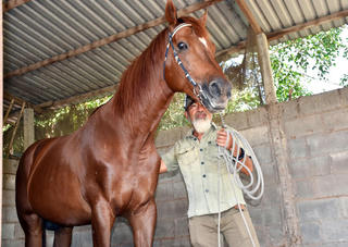 Ngựa đua Đức Hòa - một thời vang bóng