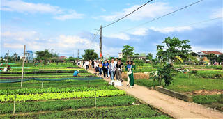 Mầm xanh trở lại nơi rốn lũ