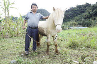 Bước chân ngựa nơi “cổng trời” Mường Lống