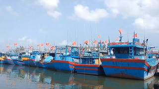 Cảng Sa Kỳ nhộn nhịp cảnh ngư dân Quảng Ngãi vươn khơi xuyên Tết