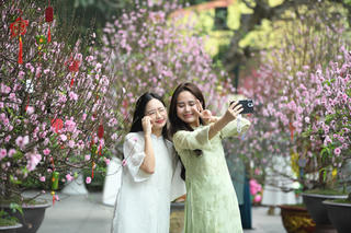 Sắc Xuân rực rỡ tại Vườn hoa Lý Thái Tổ