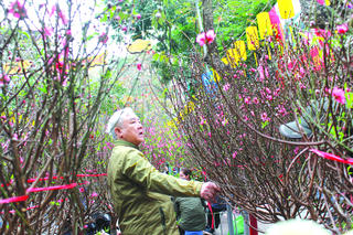 Tết Việt - một tài sản sống động
