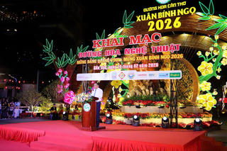 TP Cần Thơ khai mạc Đường hoa nghệ thuật với hơn 50 ngàn chậu hoa tươi