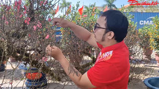 Đa dạng chủng loại tại chợ hoa Tết Quảng Trị