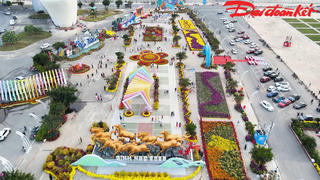 Quảng Ninh: Sắc hoa hội tụ, ánh sáng lan toả rực rỡ vịnh di sản