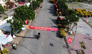 Quảng Ngãi: Đặc khu Lý Sơn rộn ràng sắc xuân