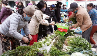 

              Giá thịt nhích tăng, rau xanh giảm giá  