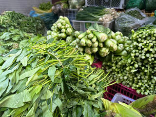 Đảm bảo nguồn cung rau xanh sau Tết