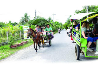 ‘Lốc cốc’ vó ngựa trời Nam