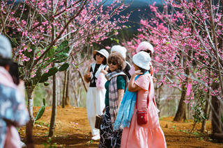 Quảng Ngãi: Đón hơn 610.000 khách, doanh thu du lịch tăng mạnh