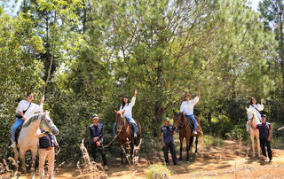 Quảng Ngãi: Thú vị trải nghiệm cưỡi ngựa khám phá rừng già Măng Đen dịp đầu xuân
