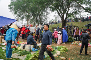 Người dân 'choảng' cà chua mùng 6 Tết để cầu may