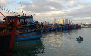 Khánh Hòa: Khai thác hải sản chuyến biển đầu năm mới