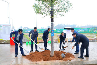 Thái Nguyên phát động 'Tết trồng cây đời đời nhớ ơn Bác Hồ' - Xuân Bính Ngọ 2026