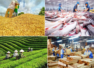 Nông nghiệp Việt: Hướng tới xuất khẩu 100 tỷ USD vào năm 2030