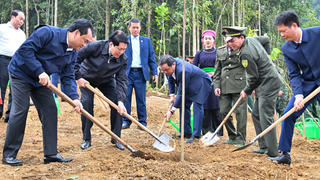 Chủ tịch nước Lương Cường: Tiếp tục đưa phong trào trồng cây đi vào chiều sâu, thực chất