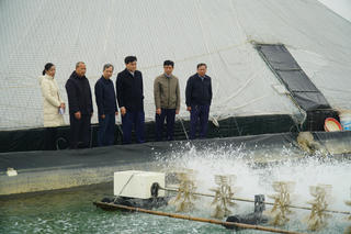 Nuôi tôm công nghệ cao, người đàn ông có lãi hàng tỷ đồng