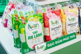 Đẩy mạnh xuất khẩu gạo chất lượng cao