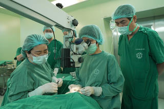 8 cuộc đời được hồi sinh từ mùa xuân Bính Ngọ 