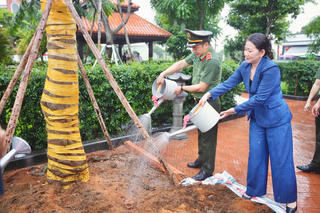 TP Hồ Chí Minh tổ chức nhiều hoạt động 'Tết trồng cây đời đời nhớ ơn Bác Hồ'