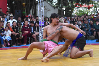 Gay cấn sới vật ở hội làng Triều Khúc