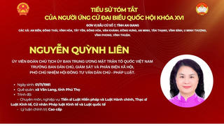 Bà Nguyễn Quỳnh Liên ứng cử Đại biểu Quốc hội khóa XIV tại An Giang