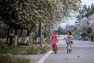 Ngày 1/3, nhiệt độ tại Bắc Bộ có nơi trên 33 độ C, nhiều khu vực có mưa dông