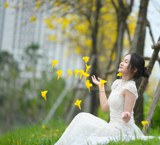 Rực rỡ những đường hoa ở Hà Nội