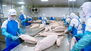 Xuất khẩu Việt Nam trước cơ hội tăng trưởng mới