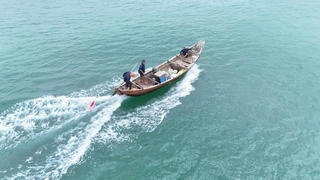 Quảng Ngãi: Ngư dân bãi ngang trúng đậm “lộc trời” từ ốc gạo
